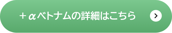 ＋αベトナムの詳細はこちら